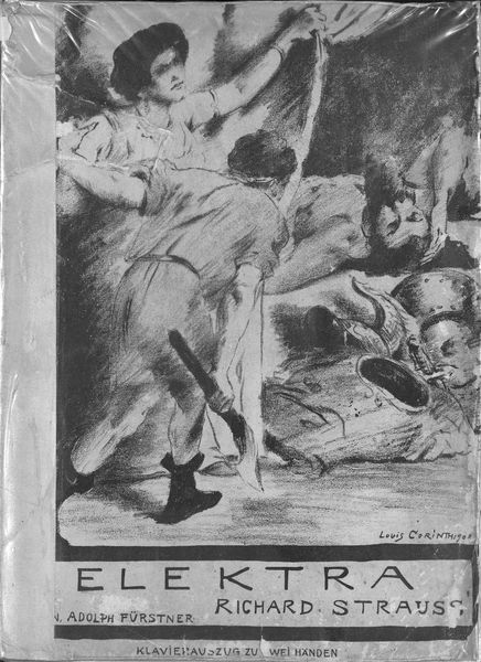 Обложка книги  «Elektra»