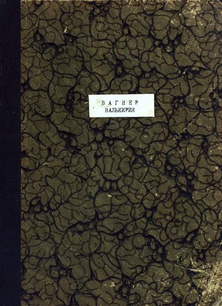Обложка книги  «Валькирия»