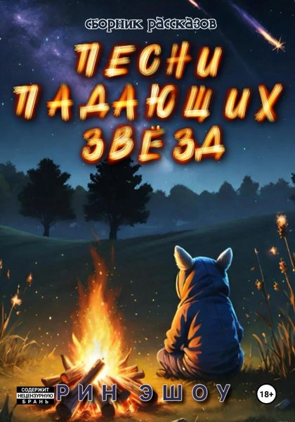 Обложка книги  «Песни падающих звёзд»