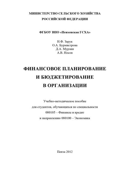 Обложка книги  «Финансовое планирование и бюджетирование в организации»