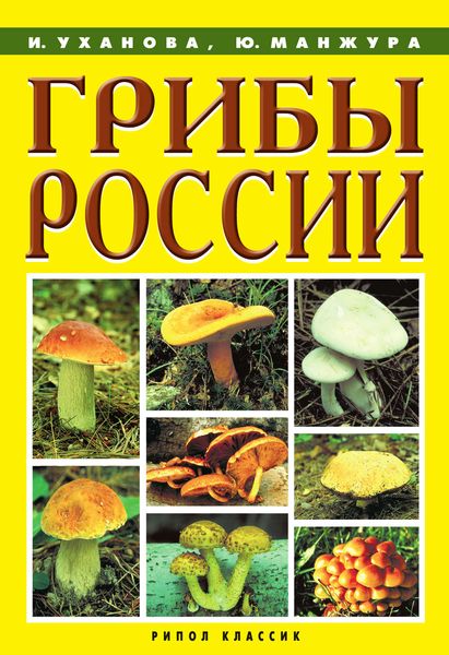 Обложка книги «Грибы России»