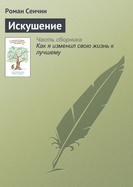 Обложка книги  «Искушение»