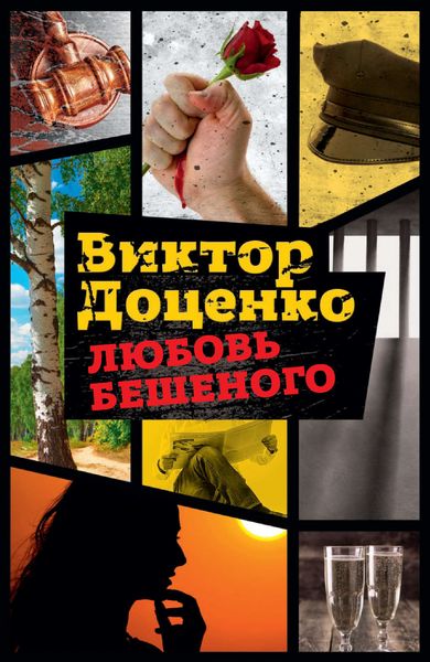 Обложка книги  «Любовь Бешеного»