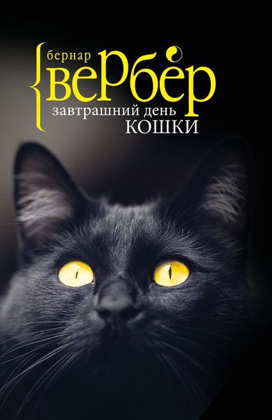 Обложка книги  «Завтрашний день кошки»