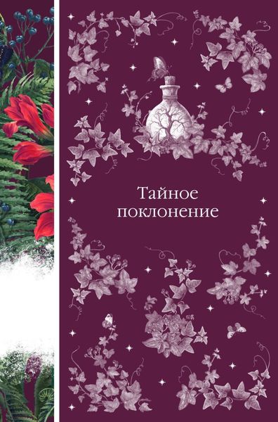 Обложка книги «Тайное поклонение»