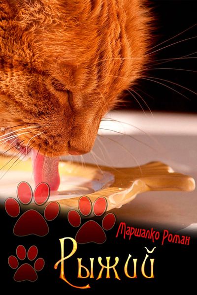 Обложка книги  «Рыжий»