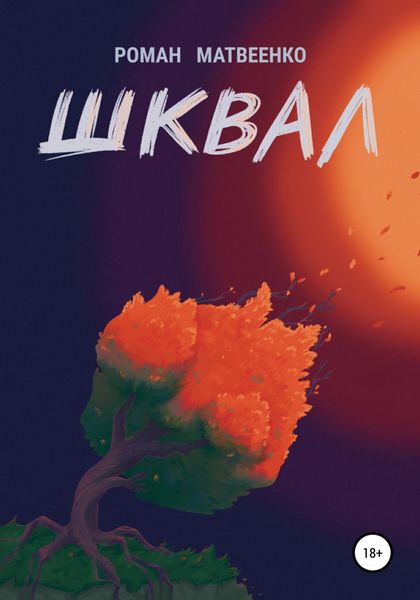 Обложка книги  «Шквал»