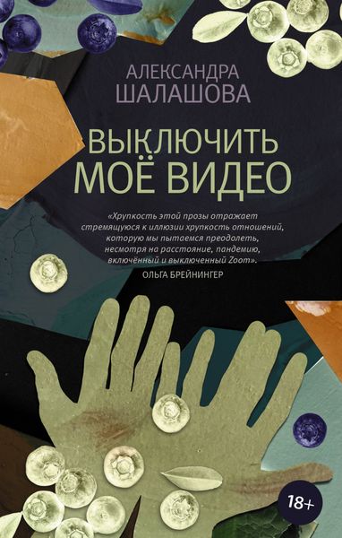 Обложка книги  «Выключить моё видео»