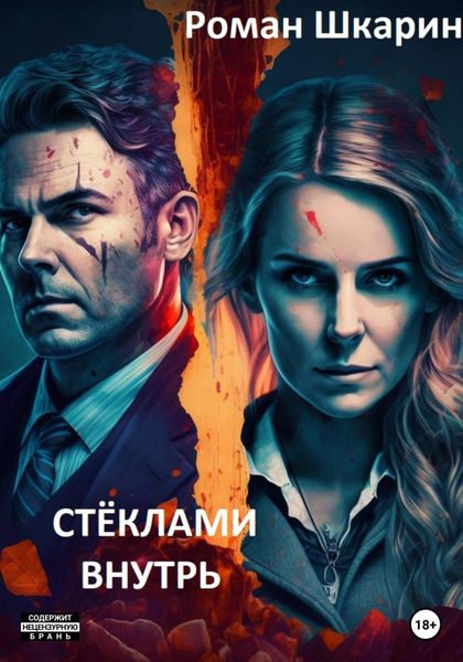 Обложка книги «Стёклами внутрь»