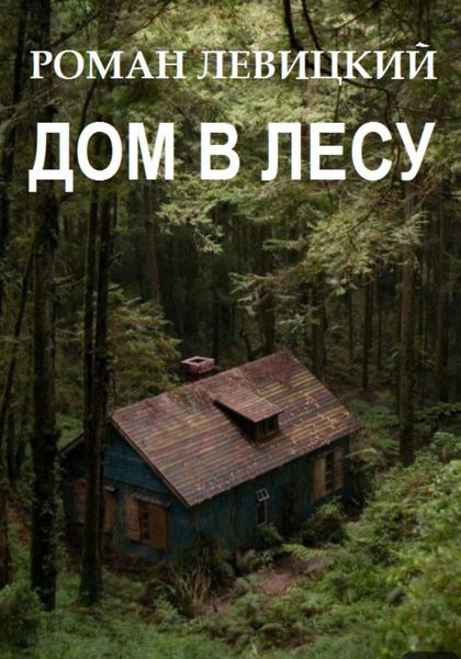 Обложка книги «Дом в лесу»
