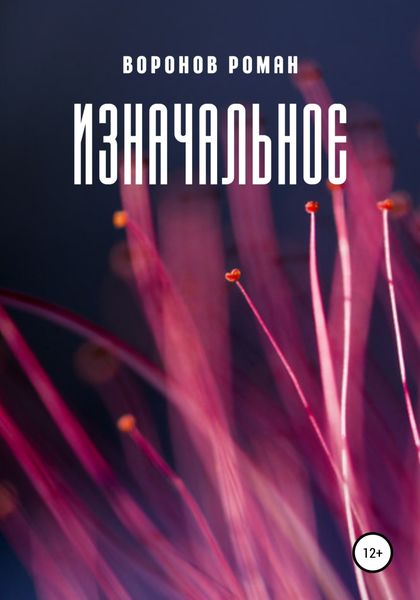 Обложка книги «Изначальное»