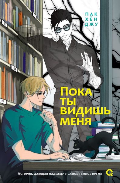 Обложка книги  «Пока ты видишь меня»