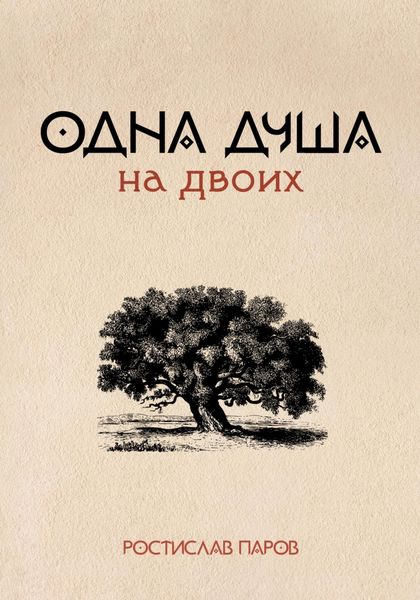 Обложка книги  «Одна душа на двоих»