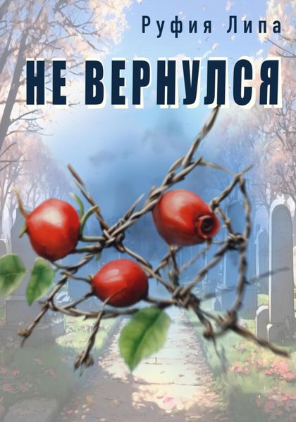 Обложка книги «Не вернулся»