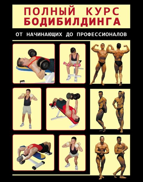 Обложка книги  «Полный курс бодибилдинга от начинающих до профессионалов»