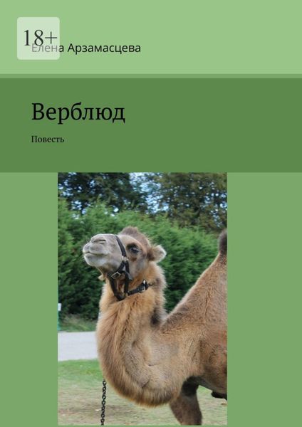 Обложка книги  «Верблюд. Повесть»