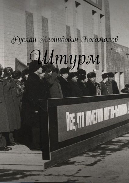 Обложка книги  «Штурм»