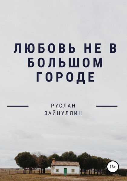 Обложка книги  «Любовь не в большом городе»