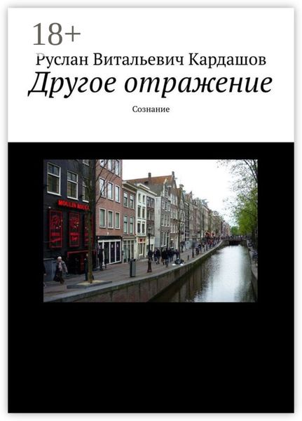 Обложка книги  «Другое отражение. Сознание»