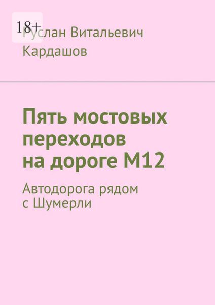 Обложка книги  «Пять мостовых переходов на дороге М12. Автодорога рядом с Шумерли»