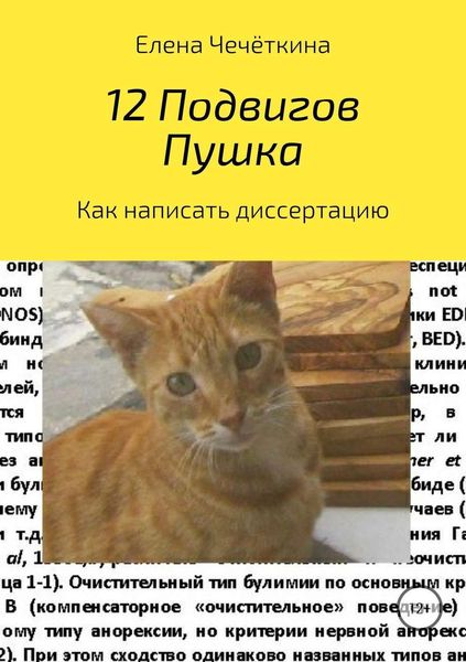 Обложка книги  «12 подвигов Пушка»