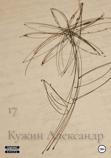 Обложка книги  «17»