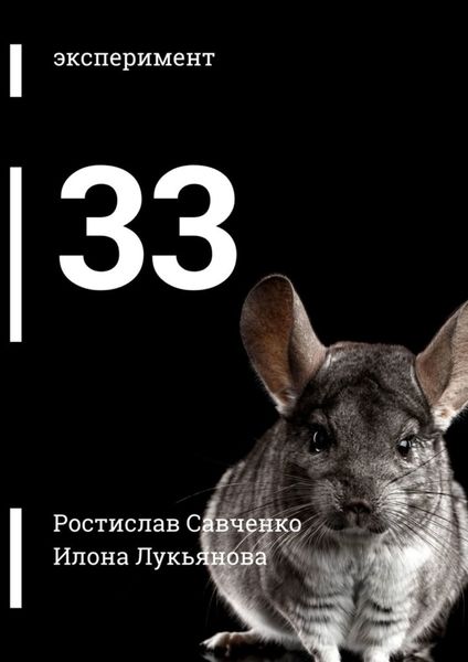 Обложка книги  «33»