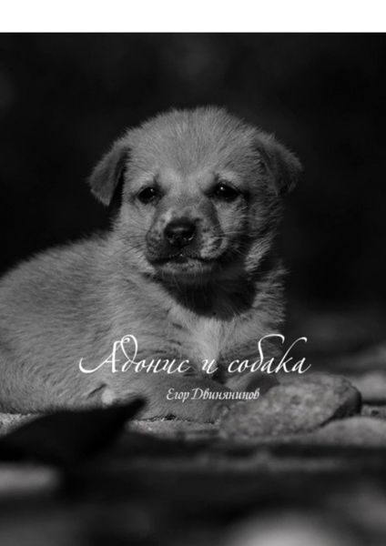 Обложка книги  «Адонис и собака»