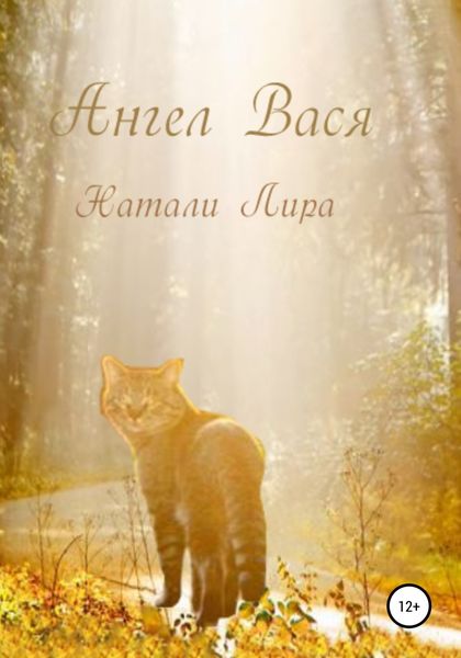 Обложка книги  «Ангел Вася»