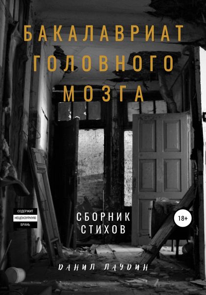 Обложка книги  «Бакалавриат головного мозга»