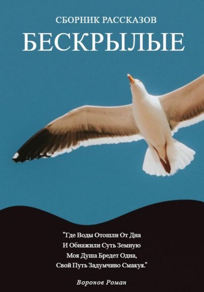 Обложка книги  «Бескрылые»