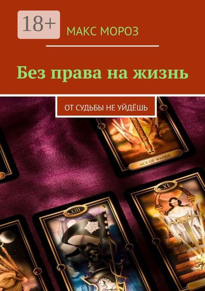 Обложка книги  «Без права на жизнь. От судьбы не уйдёшь»