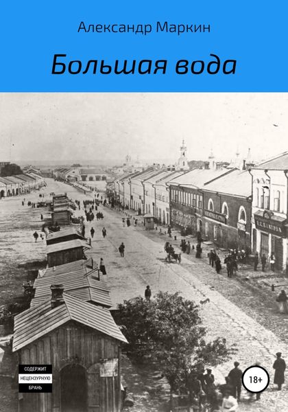 Обложка книги  «Большая вода»