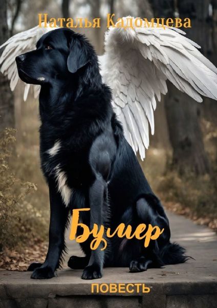 Обложка книги  «Бумер. Повесть»