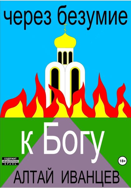 Обложка книги  «Через безумие к Богу»