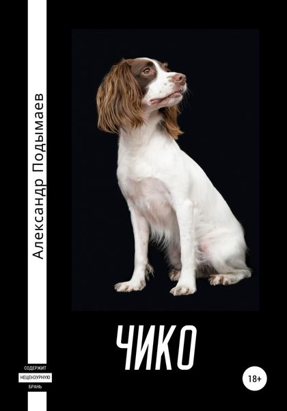 Обложка книги  «Чико»