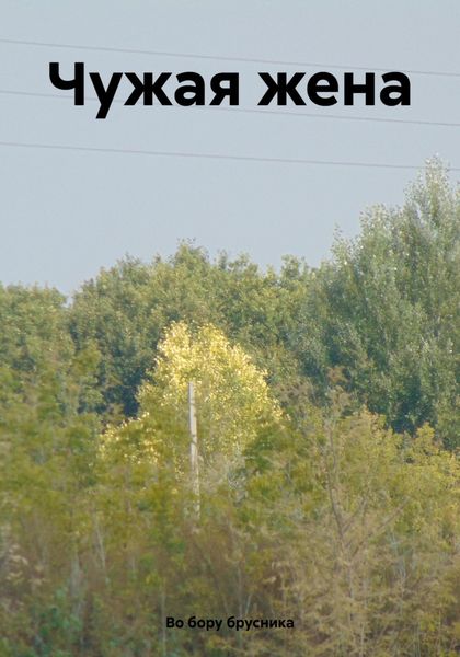Обложка книги  «Чужая жена»