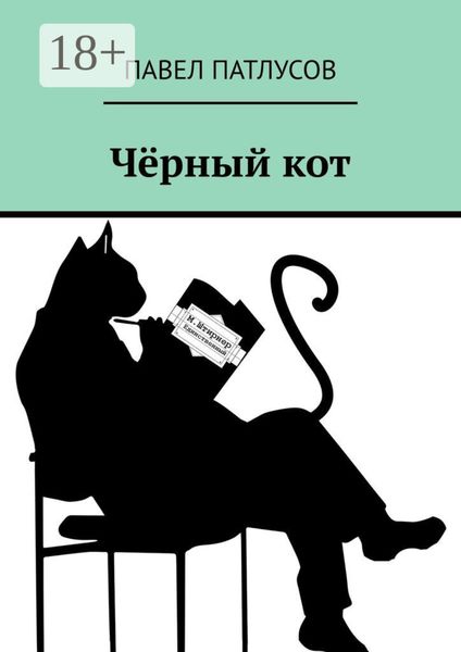 Обложка книги  «Чёрный кот. Рассказы. Сказки. Заметки»