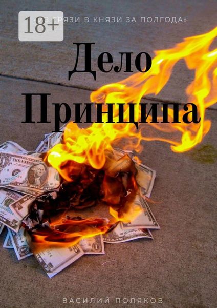 Обложка книги  «Дело Принципа»
