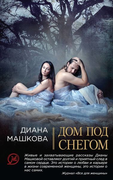 Обложка книги  «Дом под снегом»
