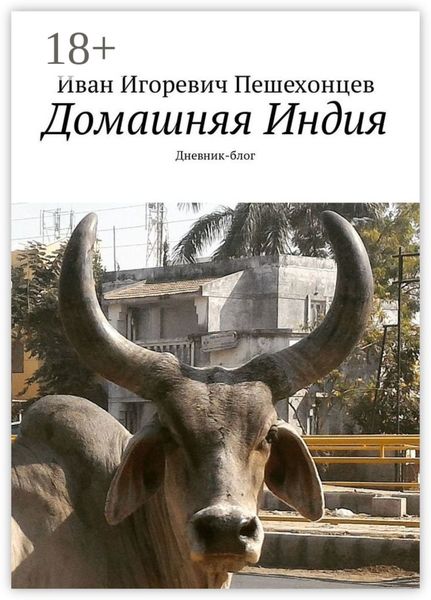 Обложка книги  «Домашняя Индия. Дневник-блог»