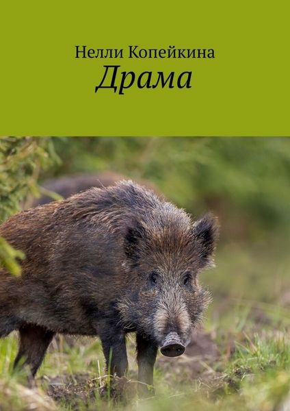 Обложка книги  «Драма»