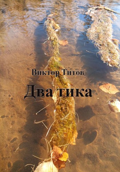 Обложка книги  «Два тика»