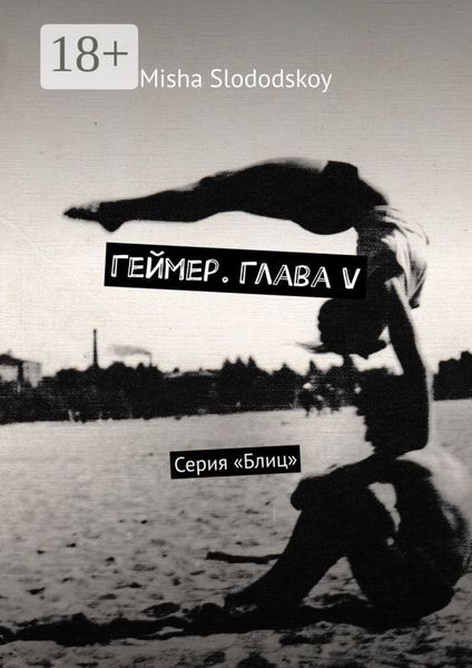 Обложка книги  «Геймер. Глава V. Серия «Блиц»»