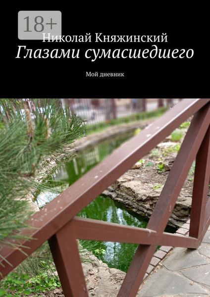 Обложка книги  «Глазами сумасшедшего. Мой дневник»