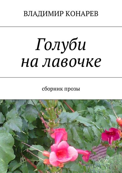 Обложка книги  «Голуби на лавочке. Сборник прозы»
