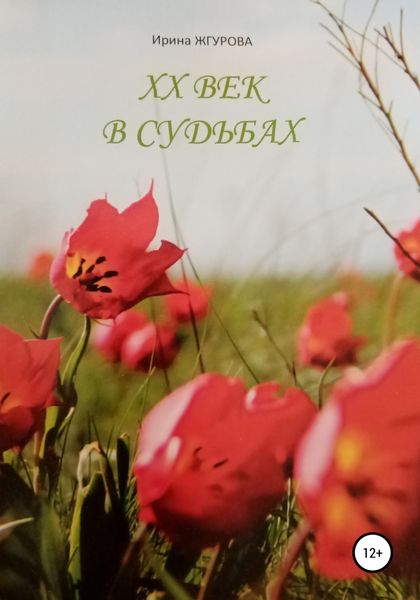 Обложка книги  «ХХ век в судьбах»