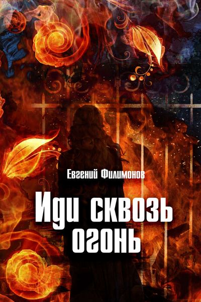 Обложка книги  «Иди сквозь огонь»