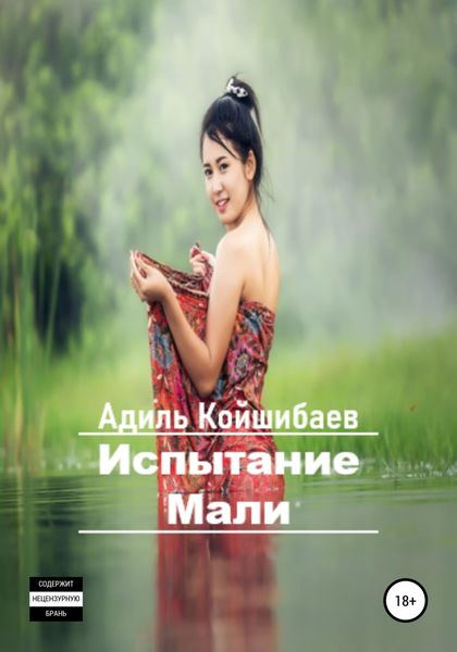 Обложка книги  «Испытание Мали»