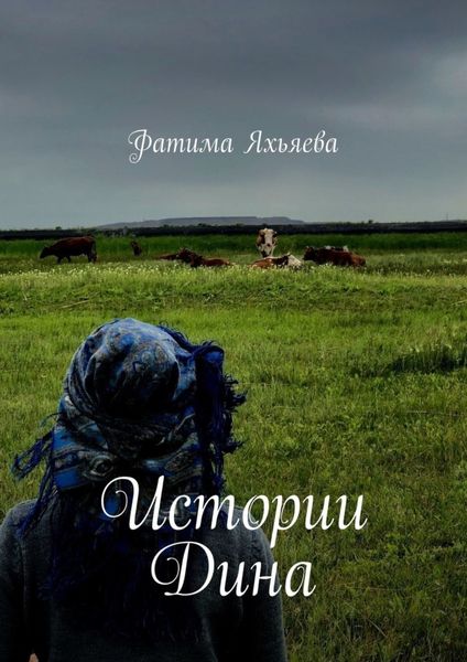 Обложка книги  «Истории Дина»